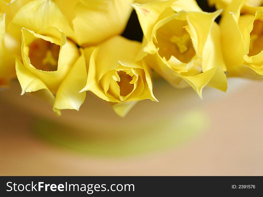 Yellow tulips on the table in green interior 15. Yellow tulips on the table in green interior 15