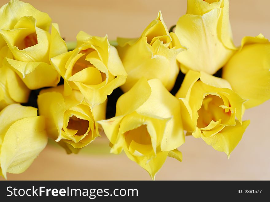 Yellow tulips on the table in green interior 14. Yellow tulips on the table in green interior 14