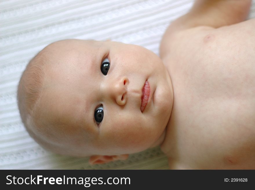 Infant Baby Portrait