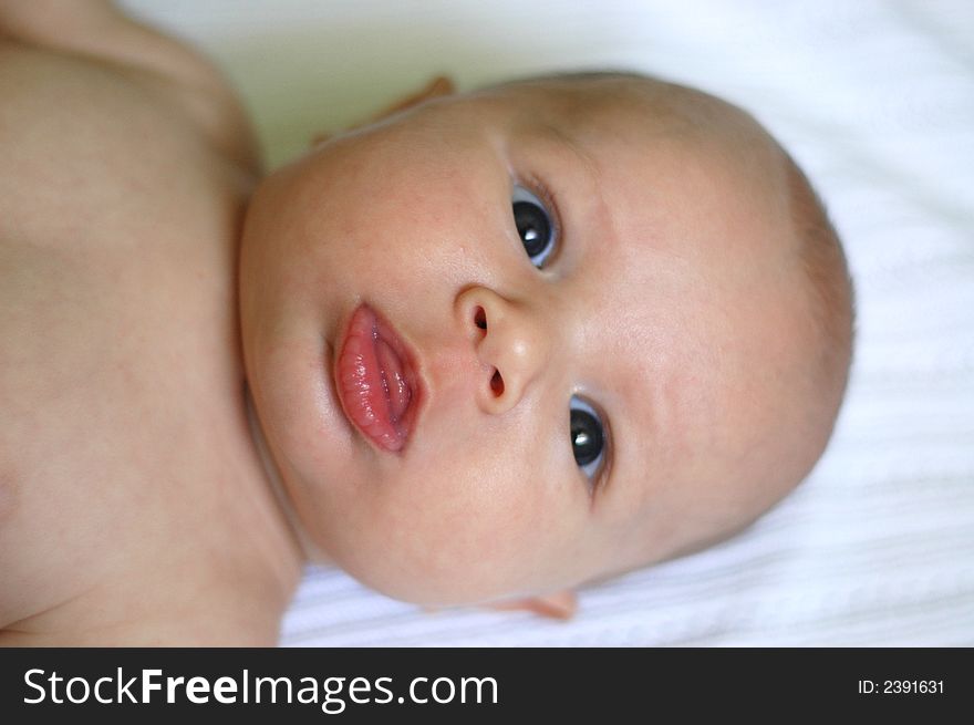 A charming portrait of a little baby boy.  He is 2.5 months old in this series. A charming portrait of a little baby boy.  He is 2.5 months old in this series.