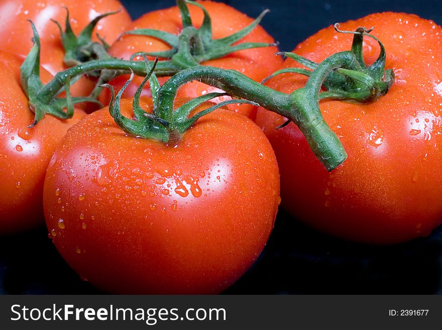 Wet delicious vine ripe tomatoes on black background