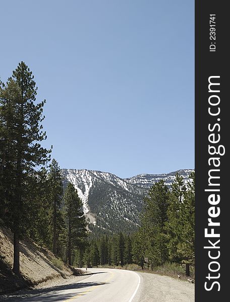 Mount charleston in the usa. Mount charleston in the usa