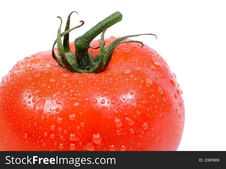 Delicious vine ripe red tomato on a white background. Delicious vine ripe red tomato on a white background