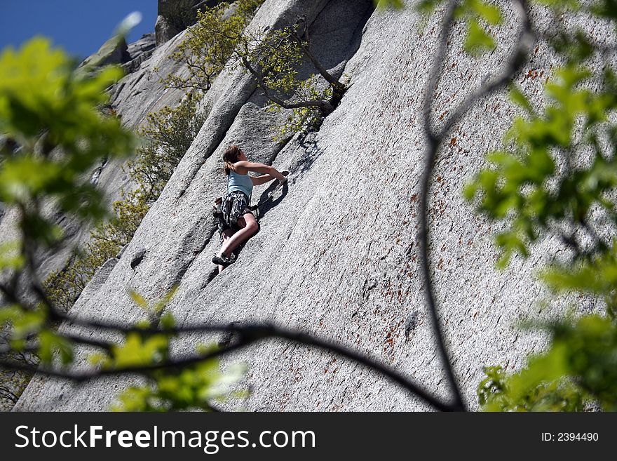 An attractive woman rock climbing a crack