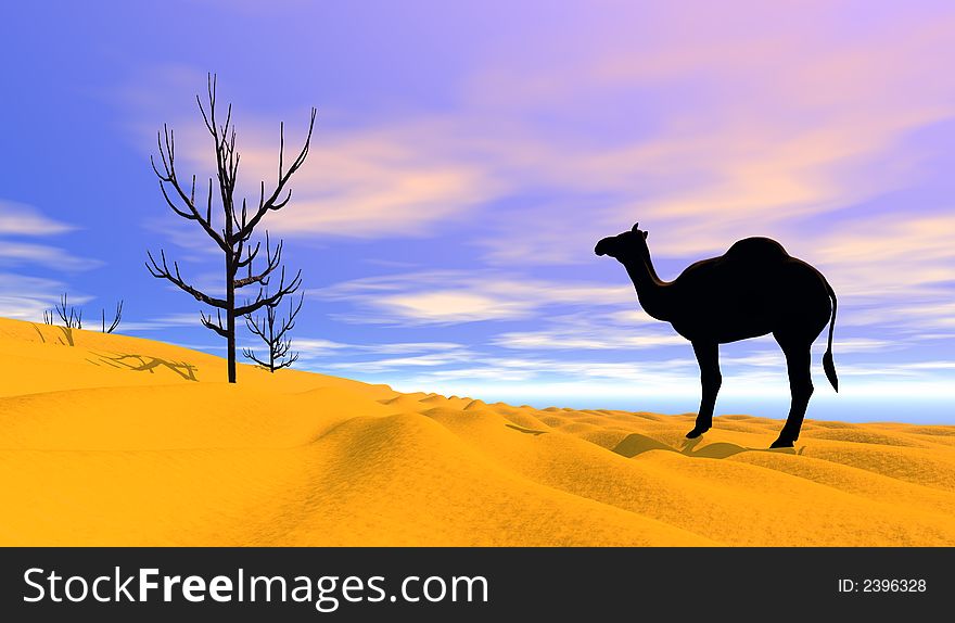 Lost in the desert - camel silhouette in the background