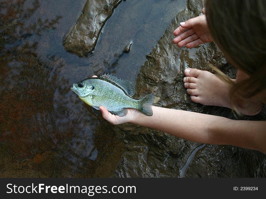 Fish in the hand worth two