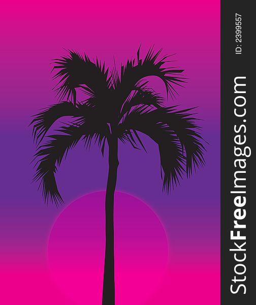 Palm Tree at purple Sunset