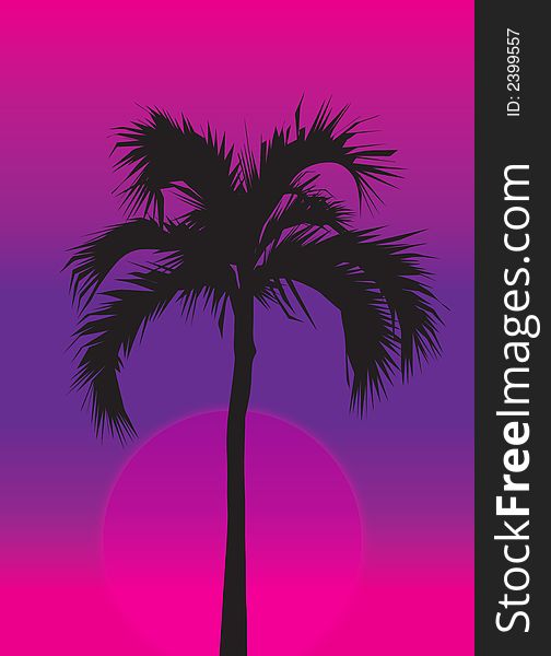 Palm Tree At Purple Sunset