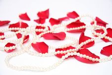 Rose Petals Background Stock Photography Rose Petals Background Stock Photography