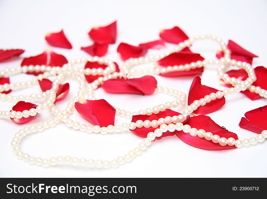 Red rose petals and pearls. Red rose petals and pearls