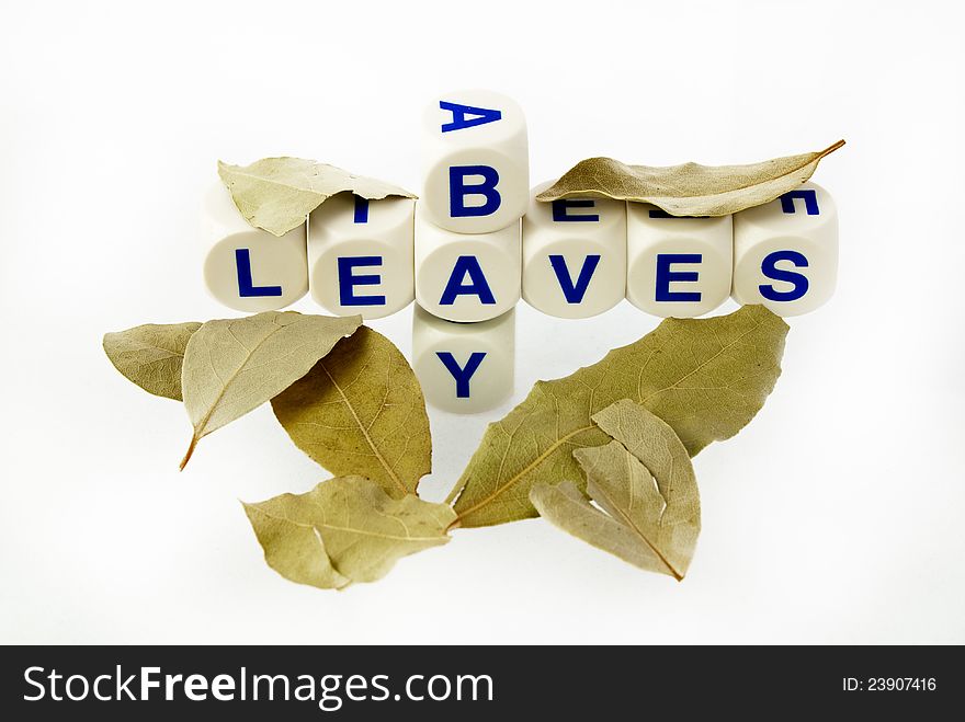 Letters spelling out Bay Leaves