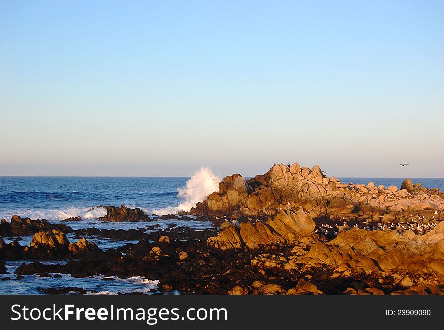 Ocean waves beating against the rocks at sunset, Monterey, California, USA. Ocean waves beating against the rocks at sunset, Monterey, California, USA