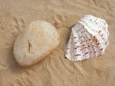 Natural Stone And Shell Stock Photography Natural Stone And Shell Stock Photography