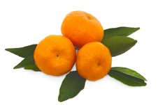 Tangerine Close Up Stock Images Tangerine Close Up Stock Images