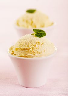 Vanilla Ice Cream Stock Images