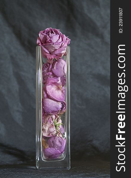 Dried rose bushes in a glass vase on dark background. Dried rose bushes in a glass vase on dark background