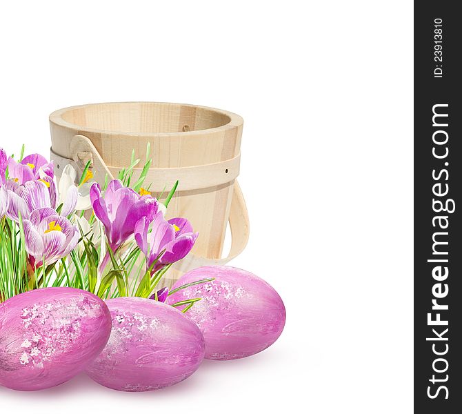 Easter eggs and crocuses isolated on white background. Easter decoration. Easter eggs and crocuses isolated on white background. Easter decoration.