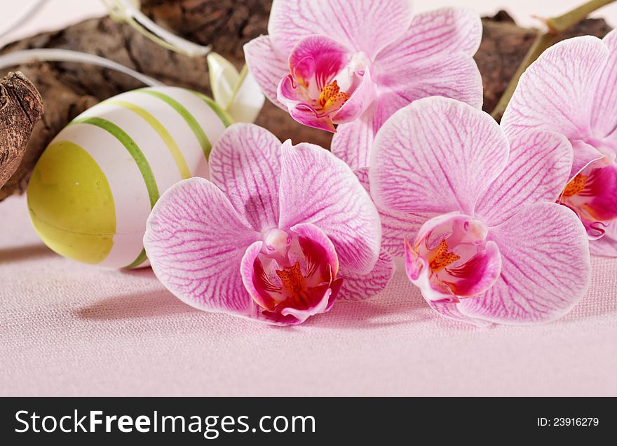 Easter Egg And Orchid Flowers
