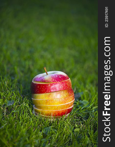 Group of sliced fresh apples. Outdoor photo. Group of sliced fresh apples. Outdoor photo