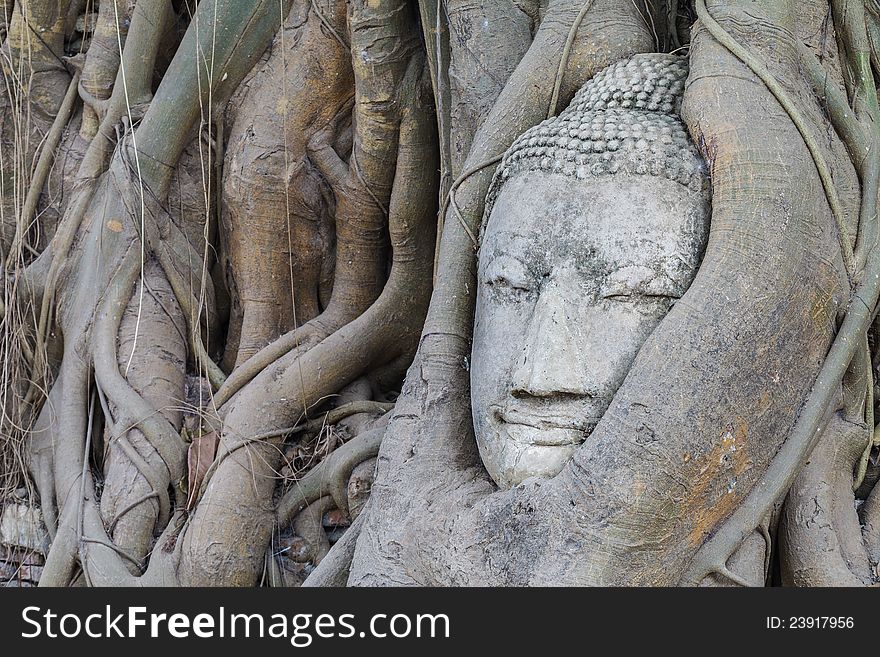 Head of buddha statue, Ayutthaya,Thailand