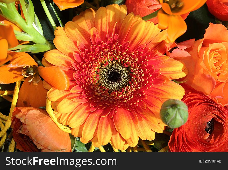 Beautiful bouquet of exotic flowers. Beautiful bouquet of exotic flowers