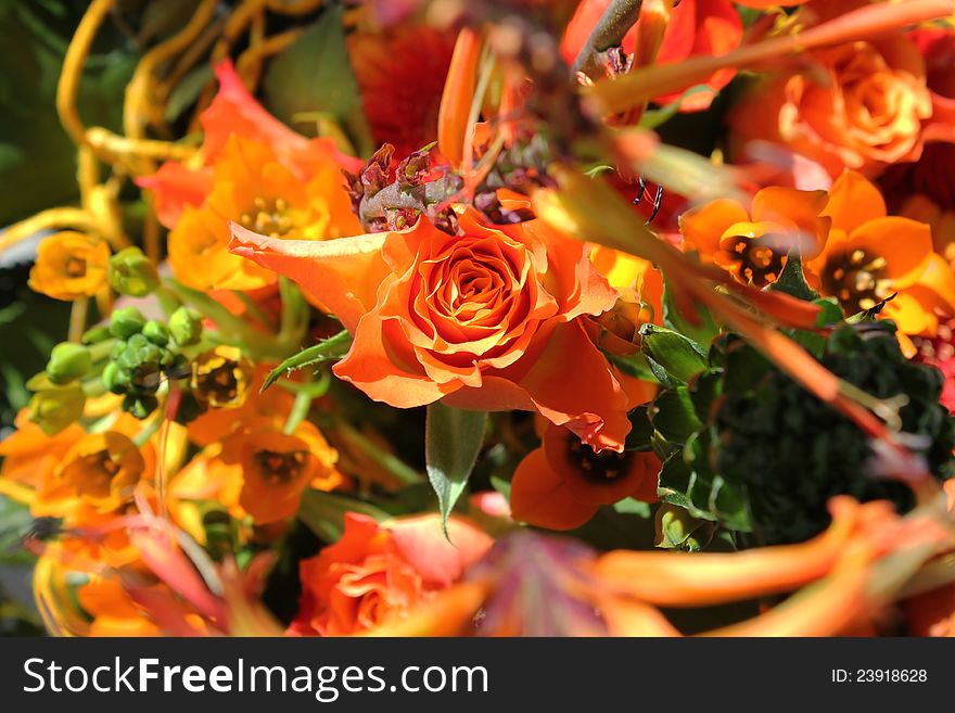 Beautiful bouquet of exotic flowers on a green background