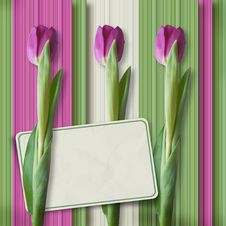 Retro Greeting Card With Tulips Stock Photography Retro Greeting Card With Tulips Stock Photography