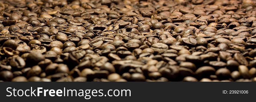 Coffee In Grains Close Up