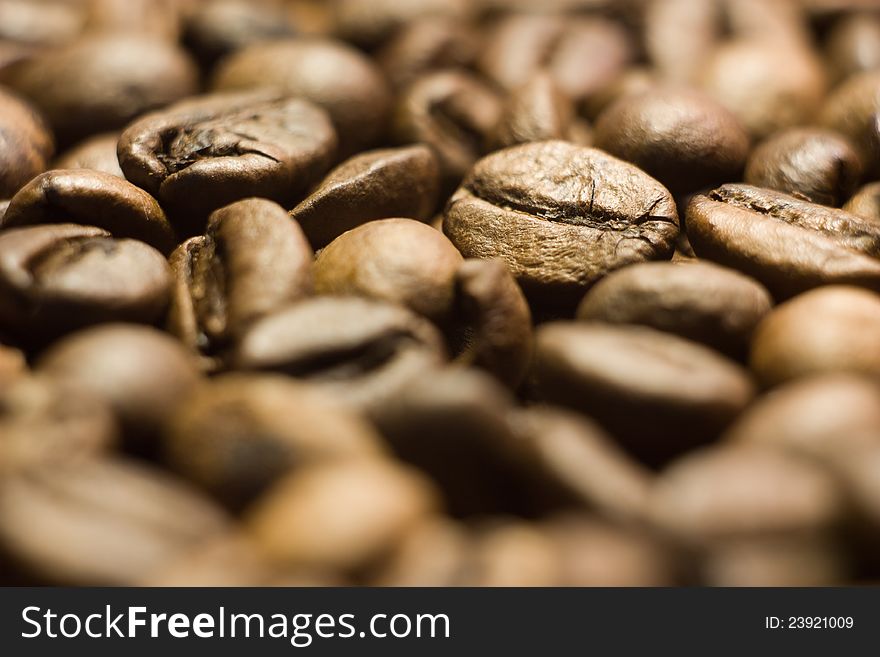 Coffee In Grains Close Up