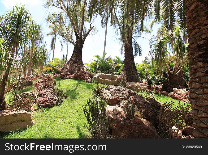 Trees and green grass in the park. Trees and green grass in the park