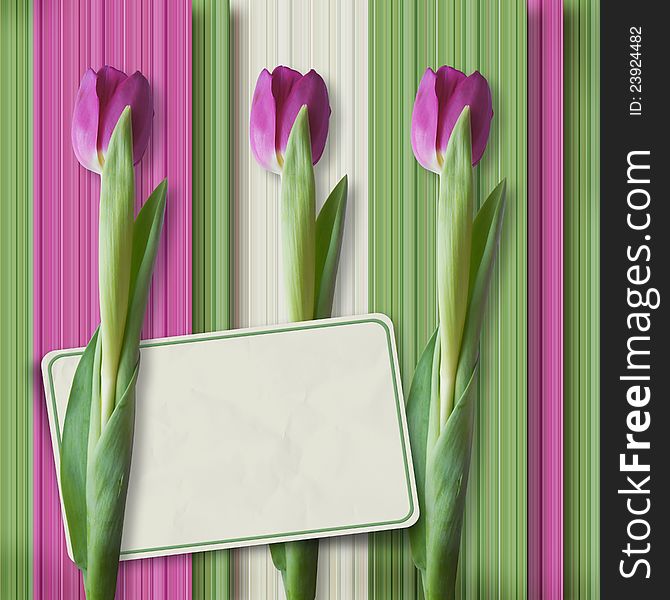 Vintage  background with card and tulips for congratulations and invitations. Vintage  background with card and tulips for congratulations and invitations