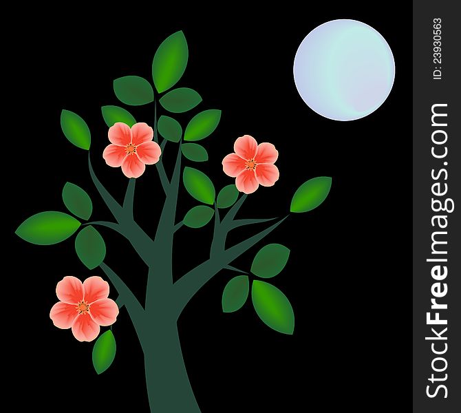 Flowering tree at night and moon