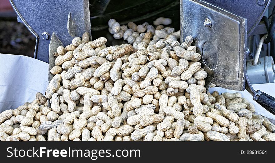 Some peanuts at market place