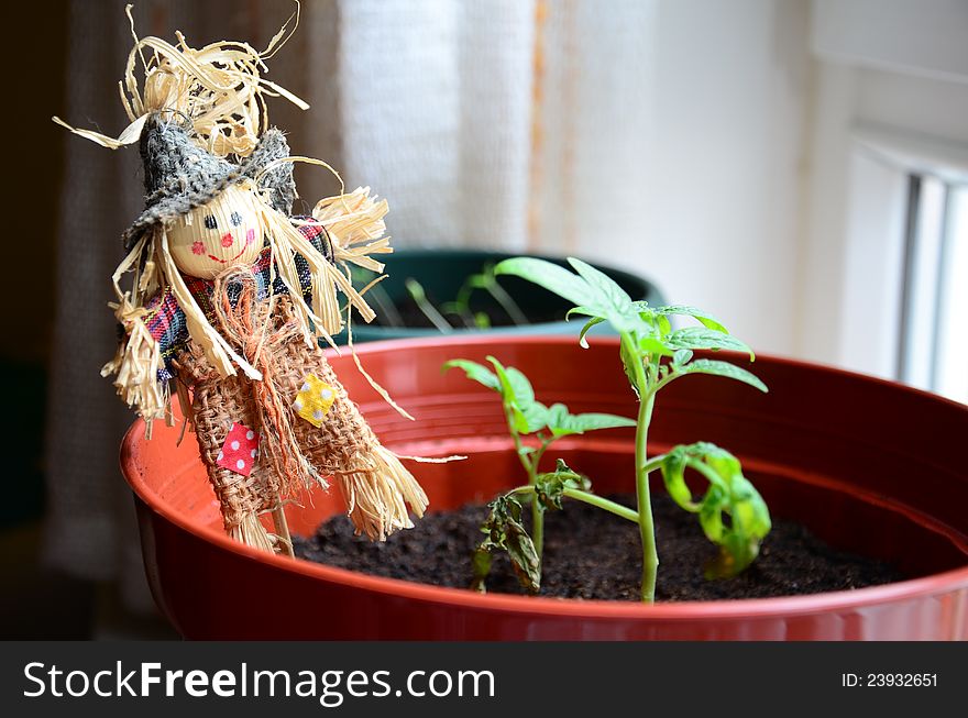 A small scarecrow in flower pot indoor