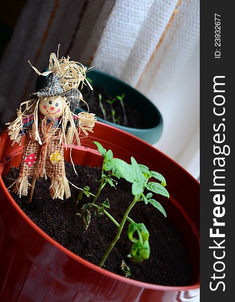 A small scarecrow in flower pot indoor