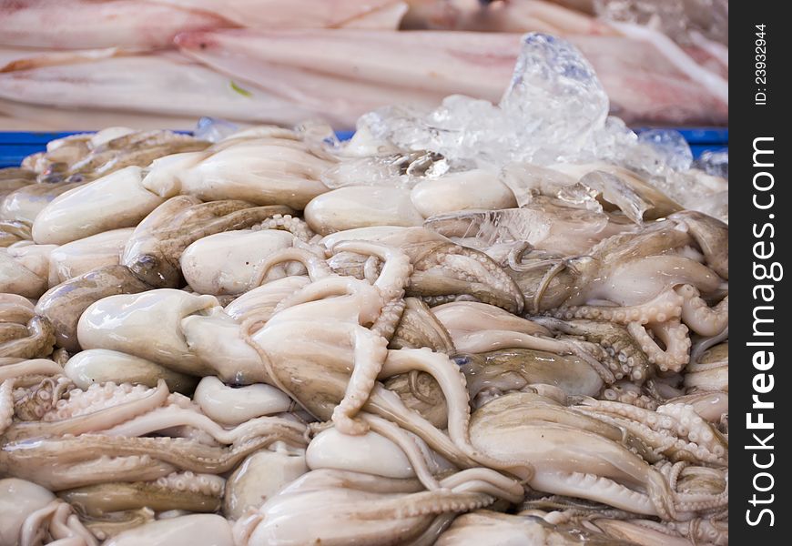 Fresh octopus in market of Thailand