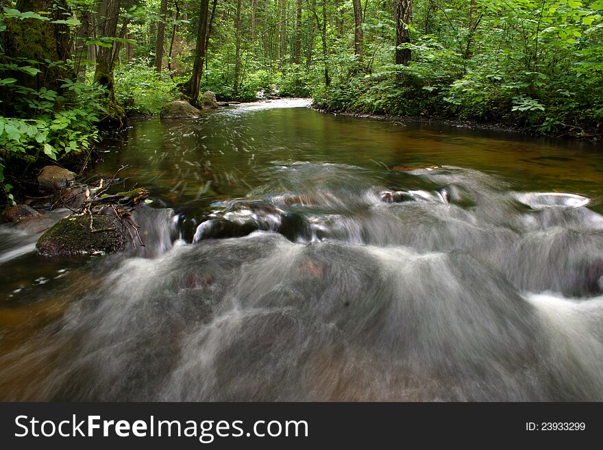 Picture of a stream among a green vegetation. Picture of a stream among a green vegetation