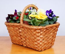 Spring Flowers In Old Wooden Basket Royalty Free Stock Photos Spring Flowers In Old Wooden Basket Royalty Free Stock Photos