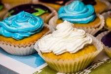 Cupcakes Stock Images