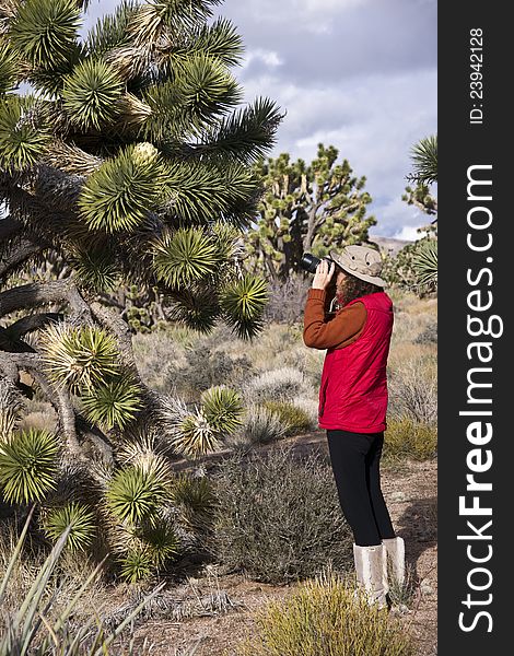 A female photographer shoots a close up of a Joshua tree blossum. A female photographer shoots a close up of a Joshua tree blossum