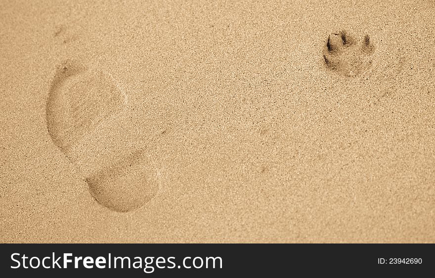 Man and dog footprints in sand