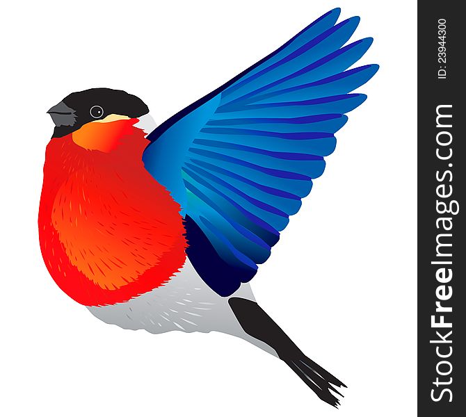 Vector illustration of a bird bullfinch