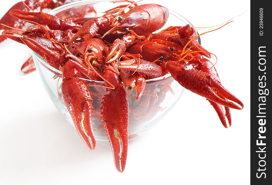 Boiled crawfish on white background