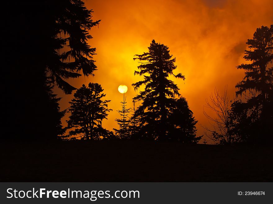 Winter sunset in the forest in Siberia