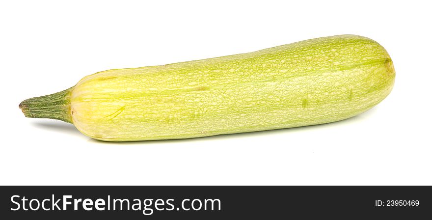 Vegetable marrow isolated on a white background