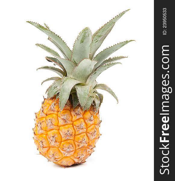 Fresh Pineapple