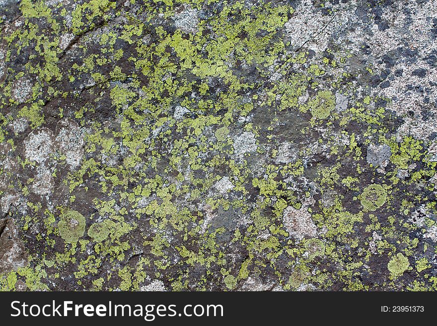 Moss covers a rock in Lake Tahoe to creat this unique texture in nature. Moss covers a rock in Lake Tahoe to creat this unique texture in nature.