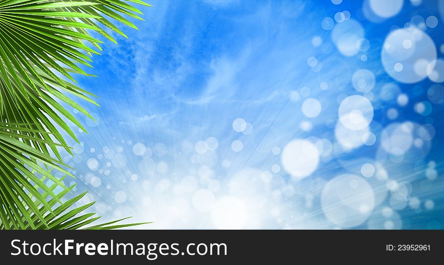 Abstract spring backgrounds with beautiful bokeh and palm leaves