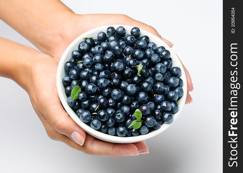 Crockery with blueberries in woman hands. Isolated on a white background. Crockery with blueberries in woman hands. Isolated on a white background.