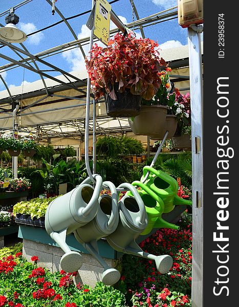 Watering cans on display at a garden supply store against a background of annual and perennial plants